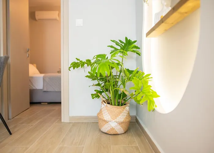 Apartament Casa Irene *