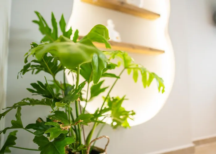 Apartament Casa Irene *