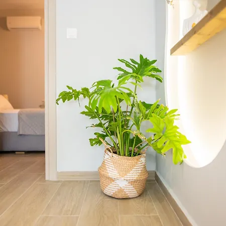 Апартаменты Casa Irene *